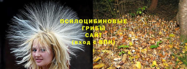 прущая мука Абдулино