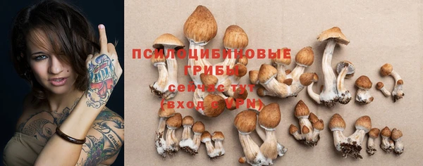 меф Переславль-Залесский