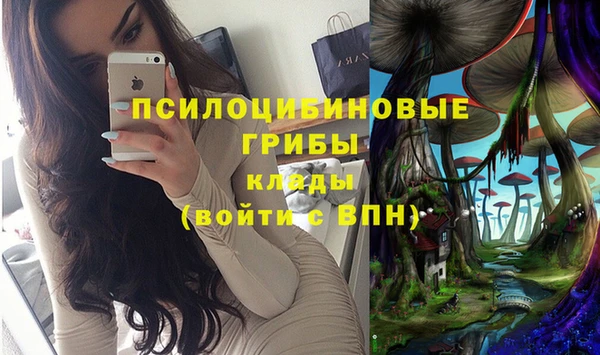 спиды Абинск