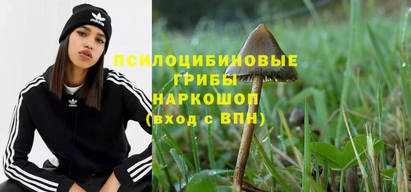 a pvp Абаза
