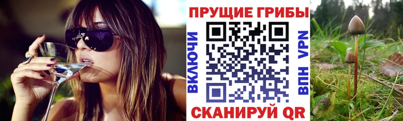 цена наркотик  Владимир  Псилоцибиновые грибы ЛСД 